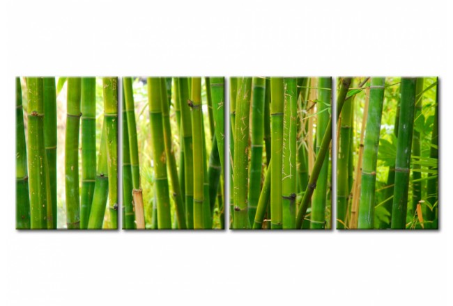 Bild auf Leinwand Bambuswald Greenery Pantone Trendfarbe 2017