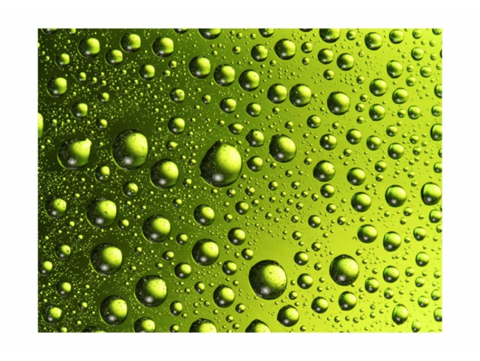 Fototapete Eiskalte Bierflasche Greenery Pantone Trendfarbe 2017