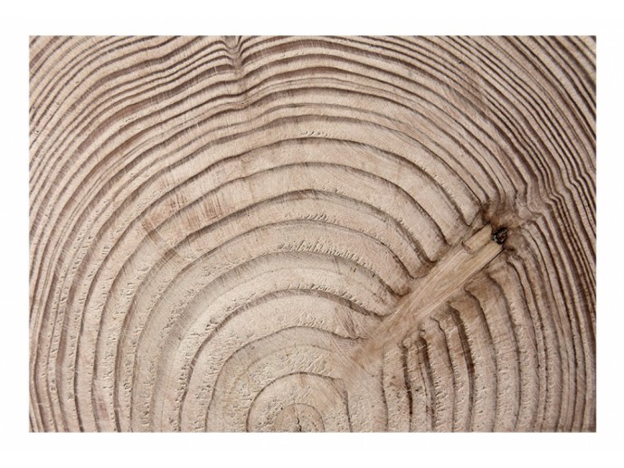Fototapete Holz Maserholz 