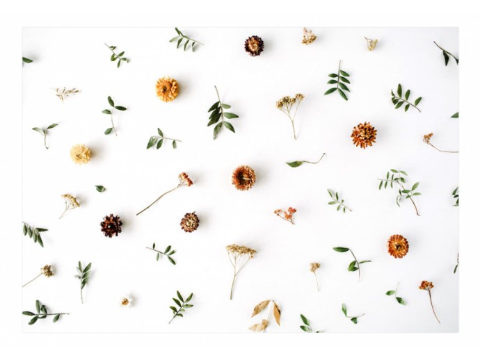 Fototapete für modernen Innenraum Blumen