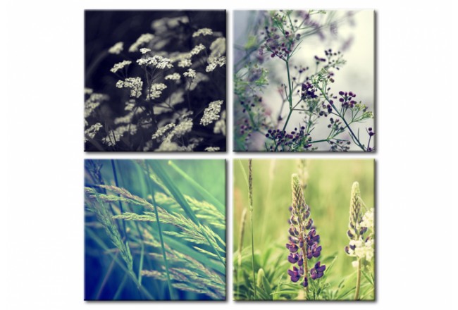Bild Blumen Wiese Provence Stil