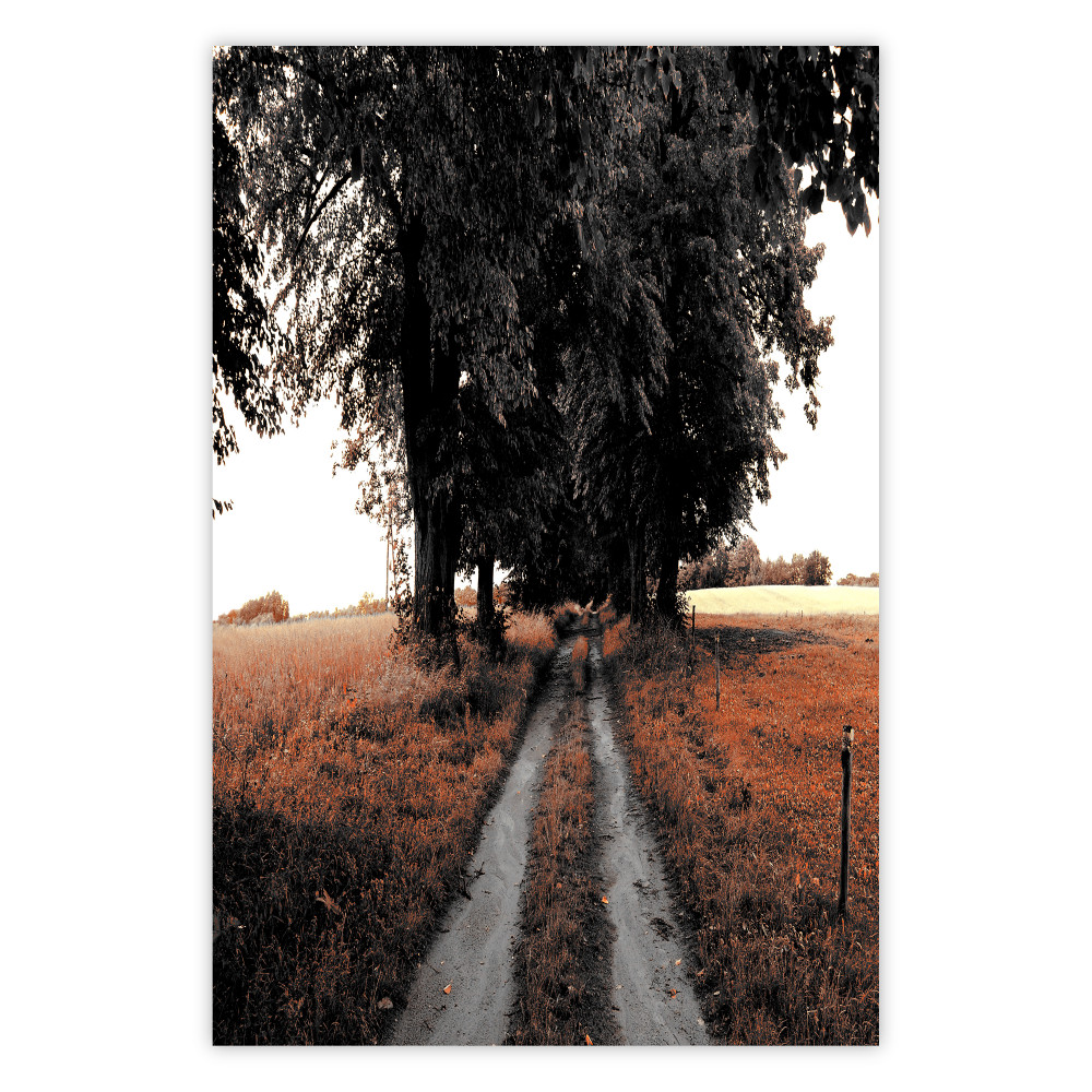 Poster Weg