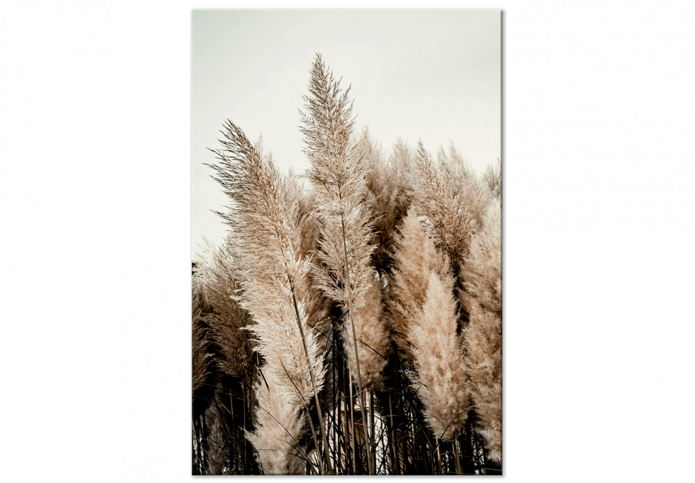 Poster Gras