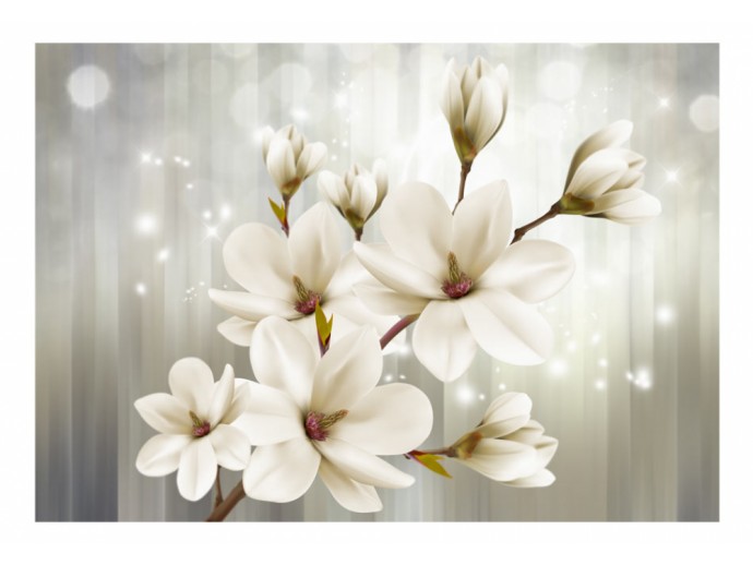 Fototapete Glamour für Wohnzimmer Blumen Magnolien
