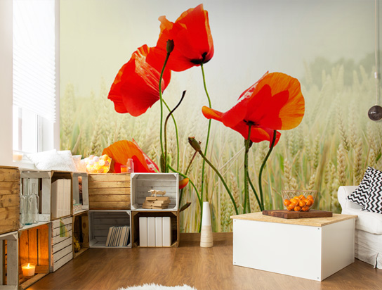 Fototapete Wiese Blumen Mohnblumen