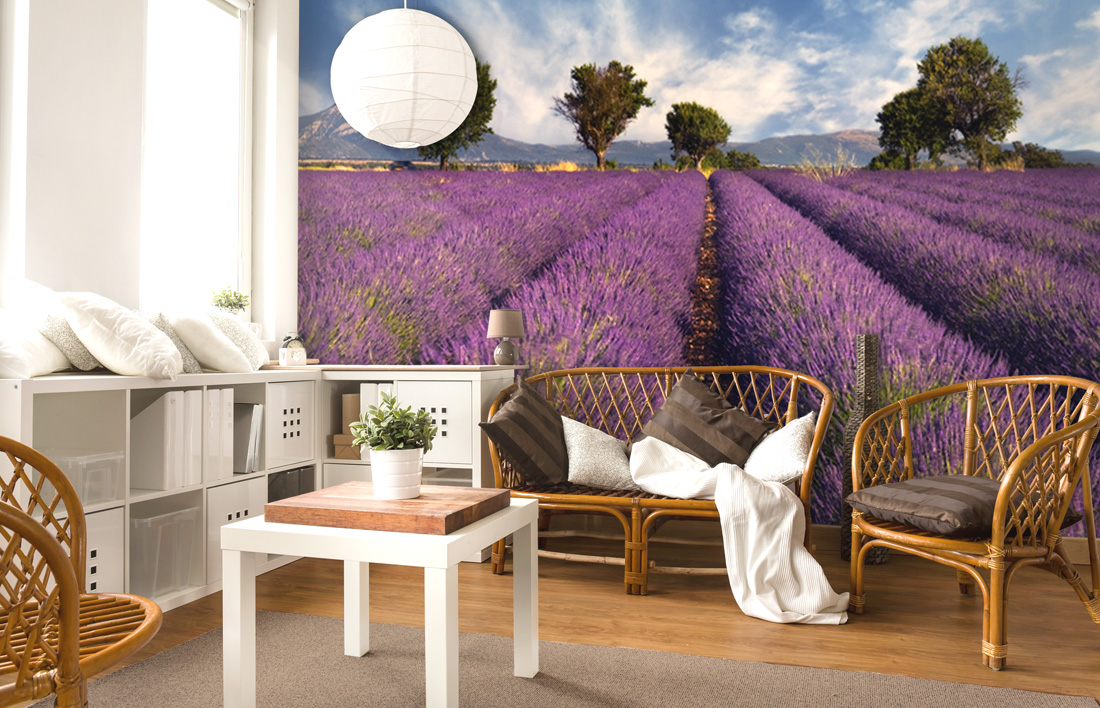 Fototapete Perspektive Lavendel Provance