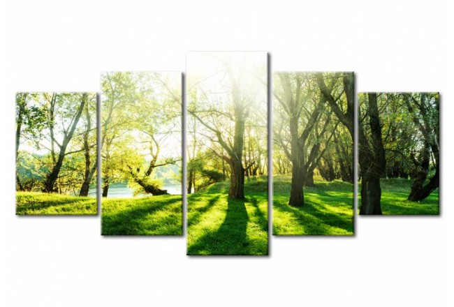 Bild Park Lichtung Grün Natur