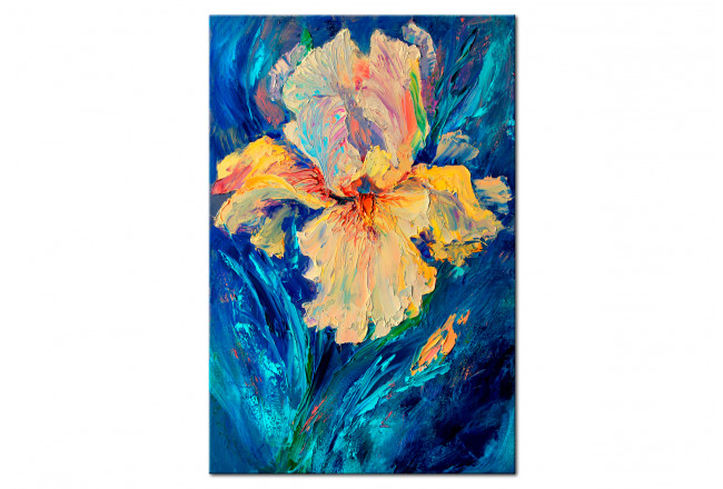 Beautiful Iris