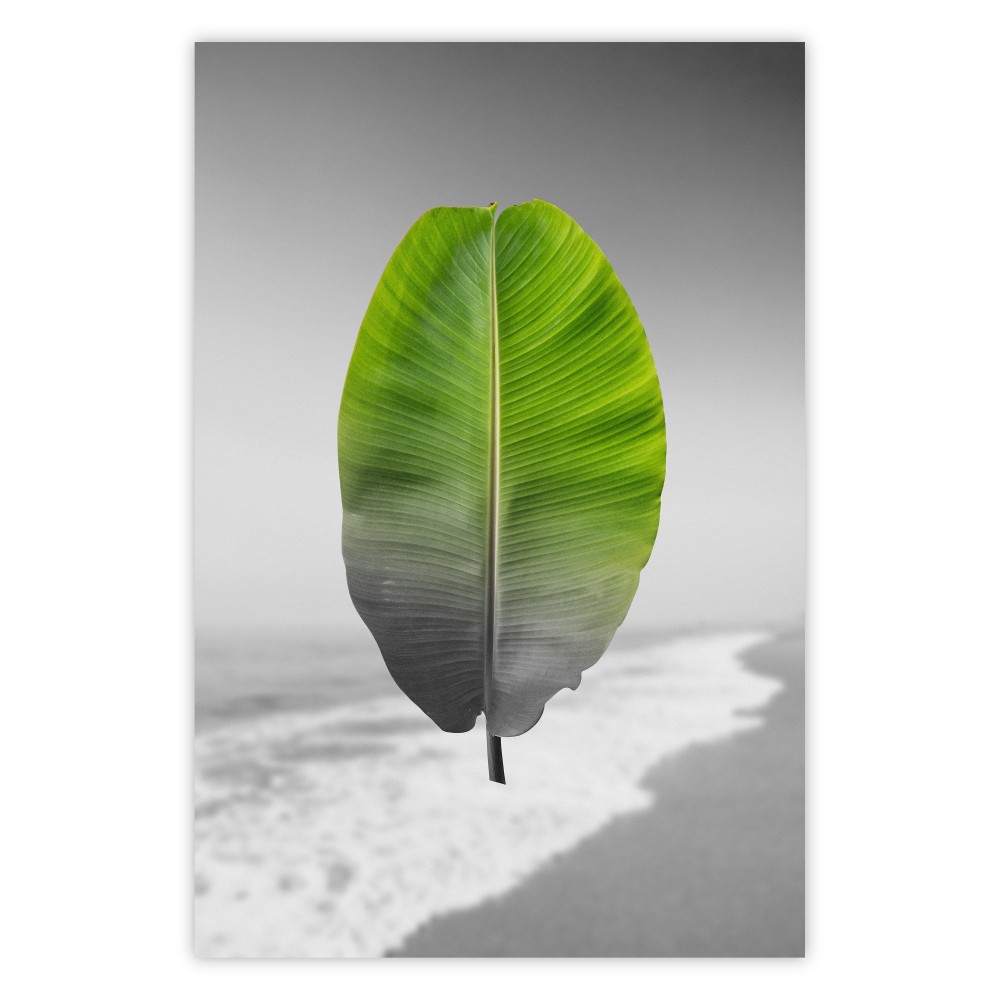 poster bananenblatt
