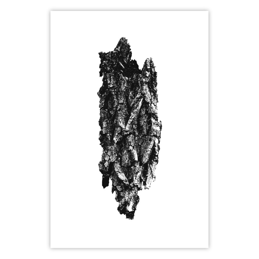 poster baumrinde
