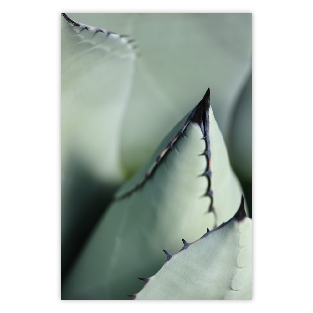 wandposter grüne spikes