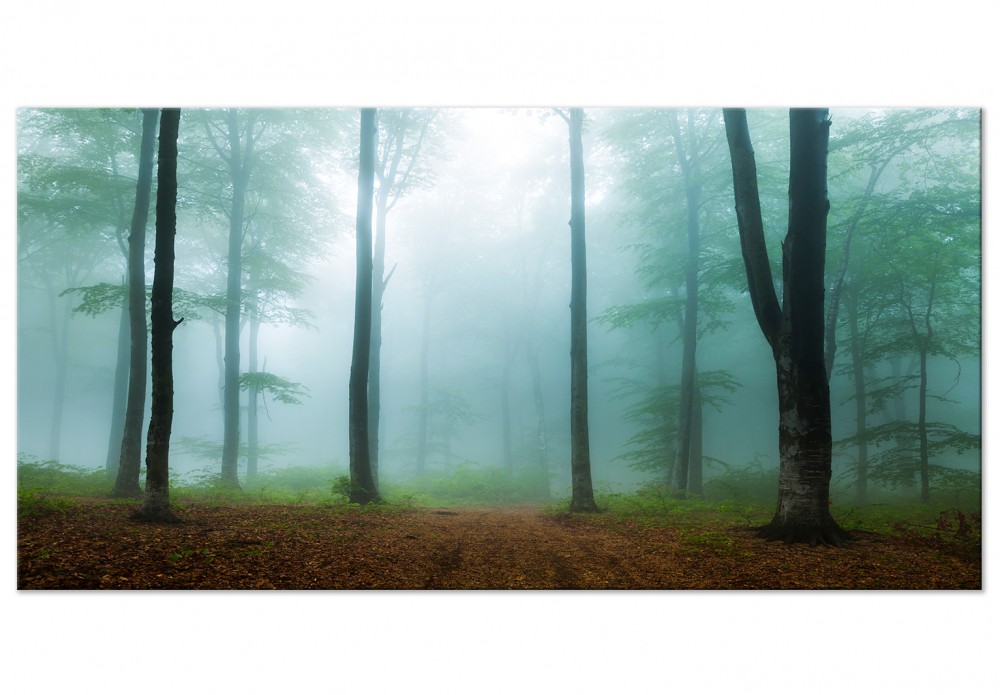 Leinwanddruck Wald im Nebel