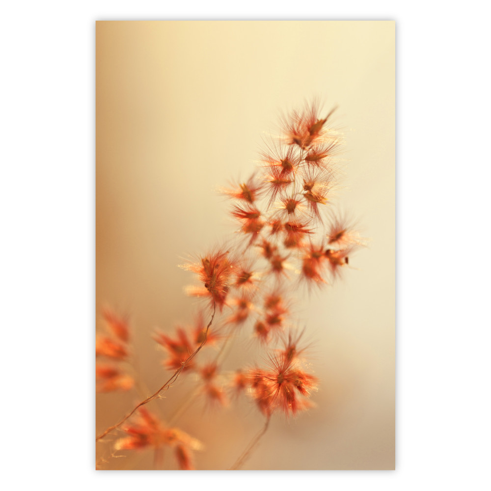Poster Gras