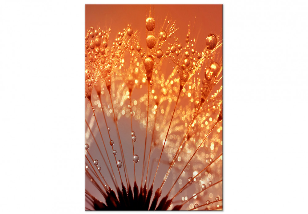 Poster Herbst Pusteblume