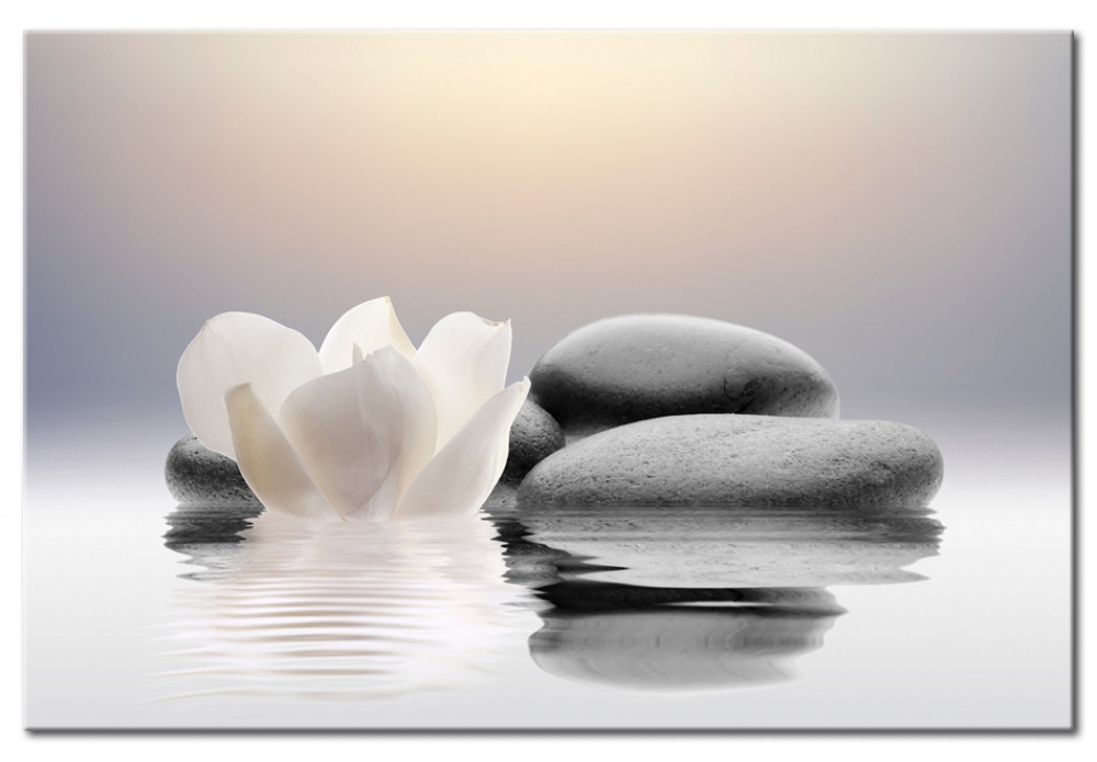 Garden of Calm