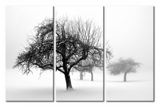 Wandbild Winter Schnee Bäume