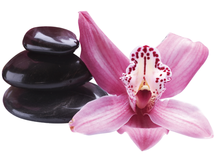 Wandsticker Stein Blumen Orchideen