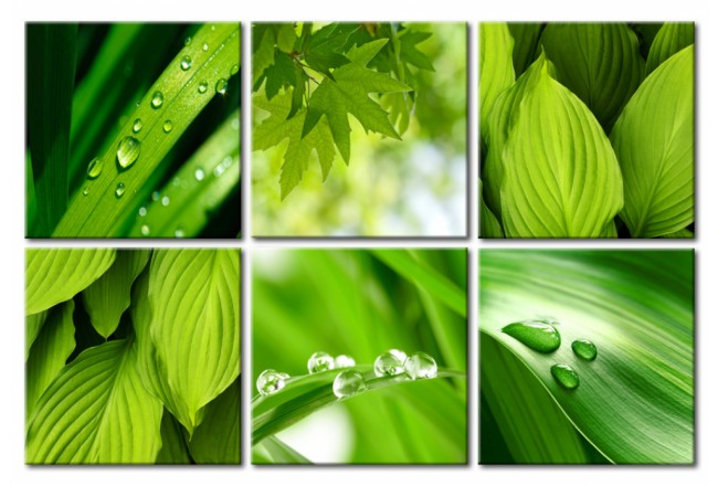 grünes Wandbild Blätter Natur