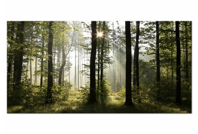 grünes Wandbild Wald Natur
