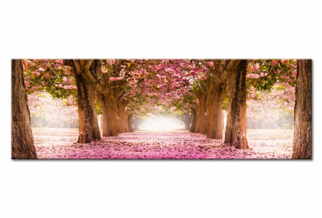 Acrylglasbild Landschaft Natur Bäume Frühling