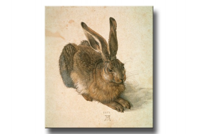 Wandbild Reproduktion Duerer