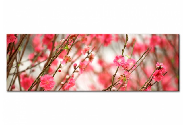 Wandbild Blumen Frühling