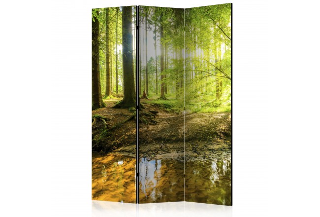 Paravent Natur Wald See