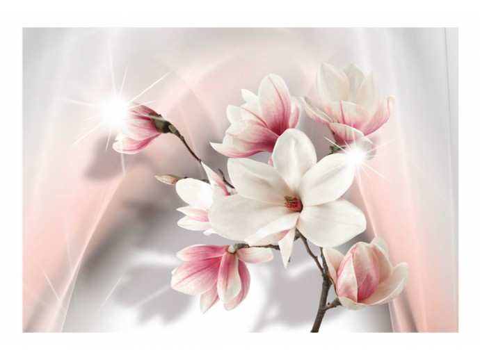 Fototapete Blumen Magnolien