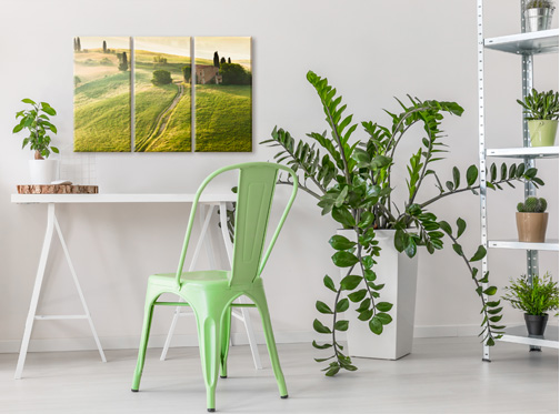 Wandbild Grün Natur Toskana