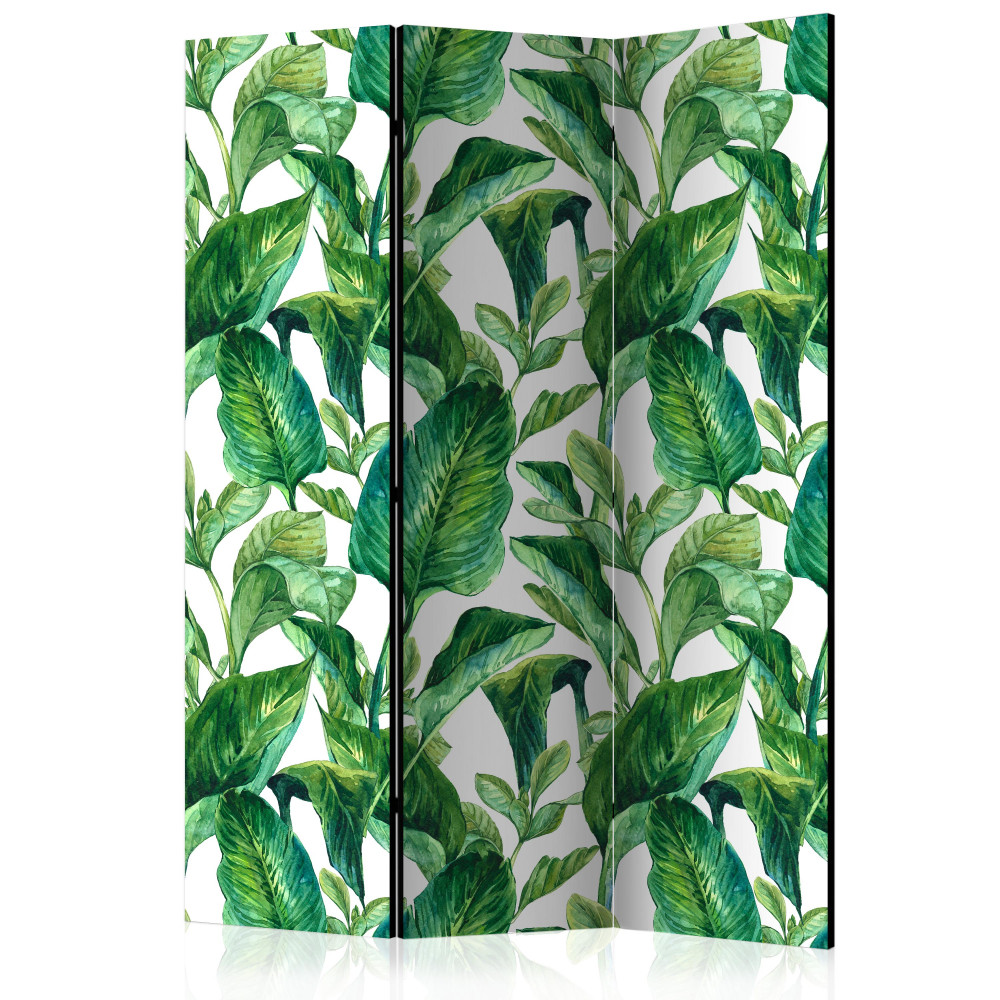 Tropical Paradise [Room Dividers]