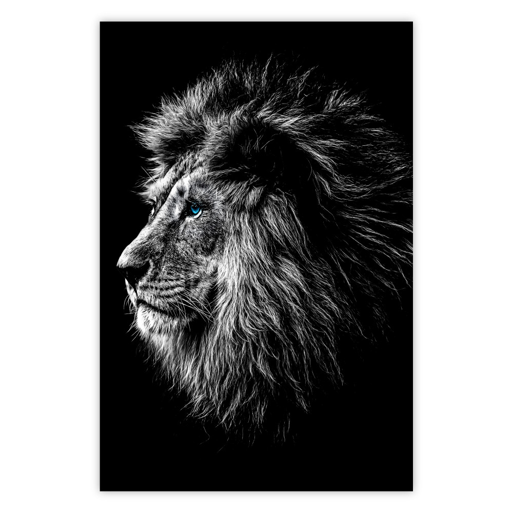 Poster Löwe